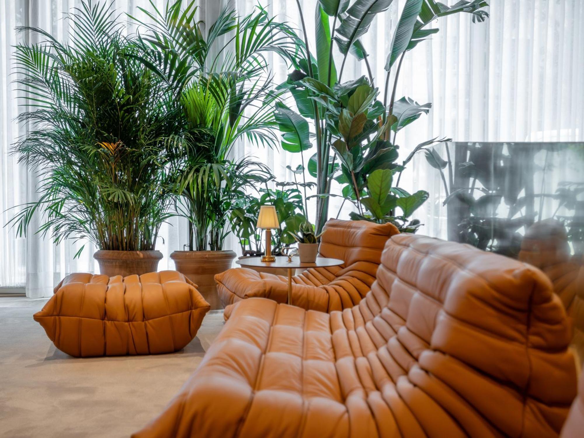 Browns Avenue Hotel — Photos 2