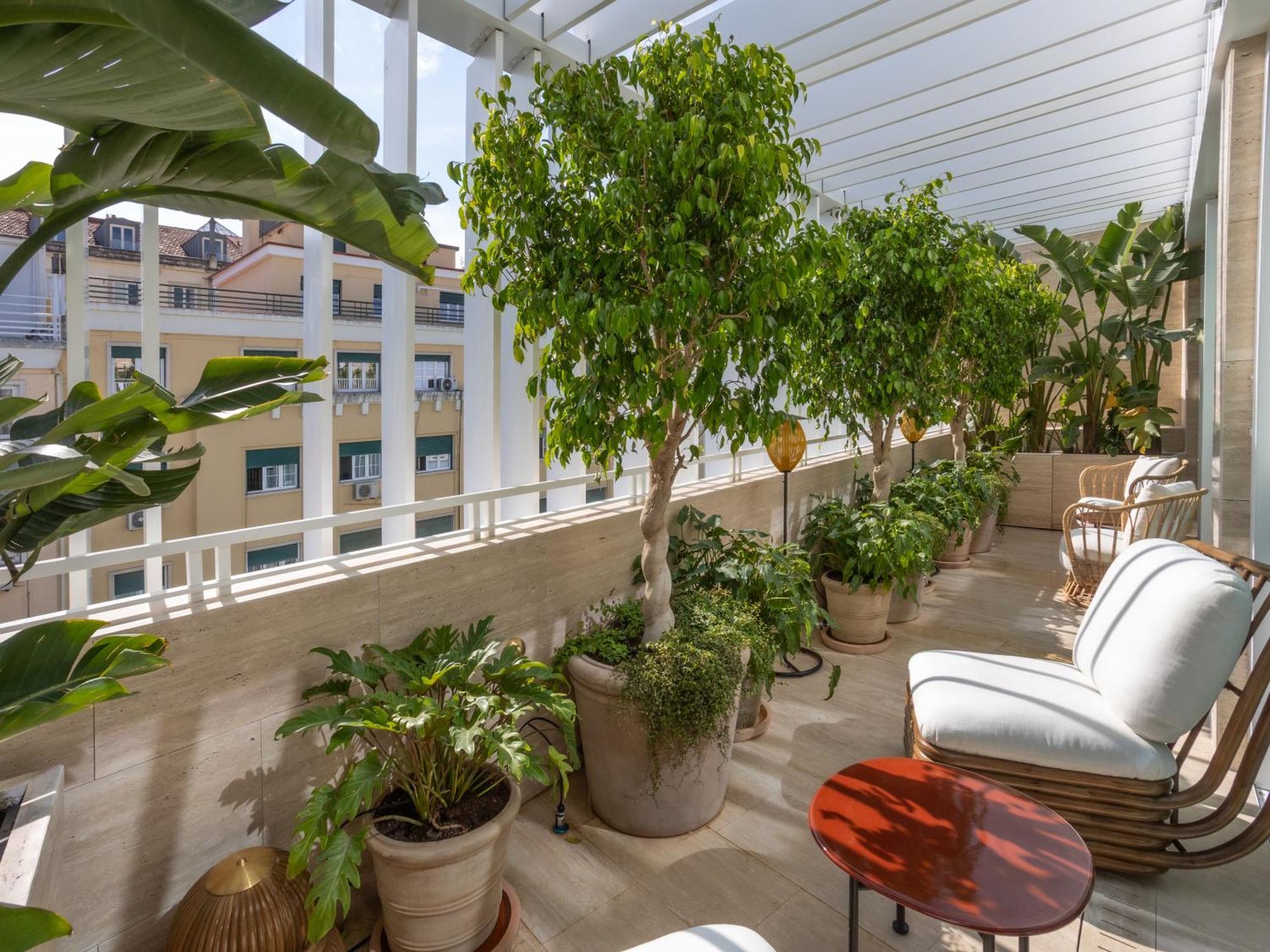 Browns Avenue Hotel, Lisbon